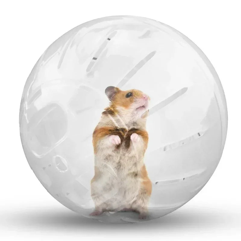 Spring boll Hamster