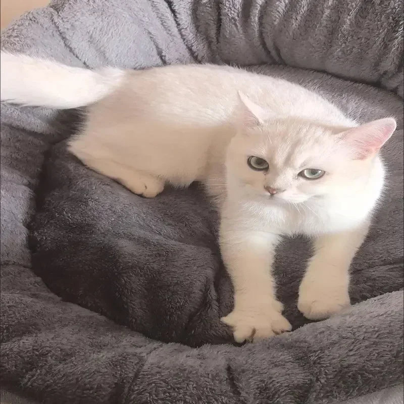 Extra mjuk varm hund/katt säng
