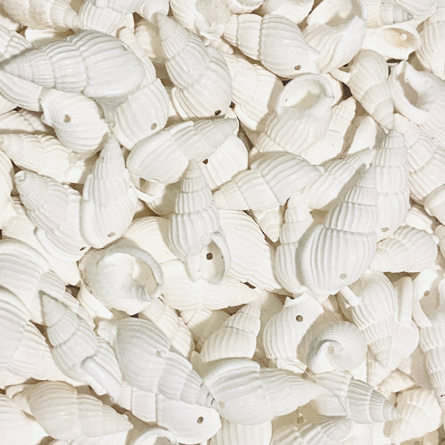 Shells