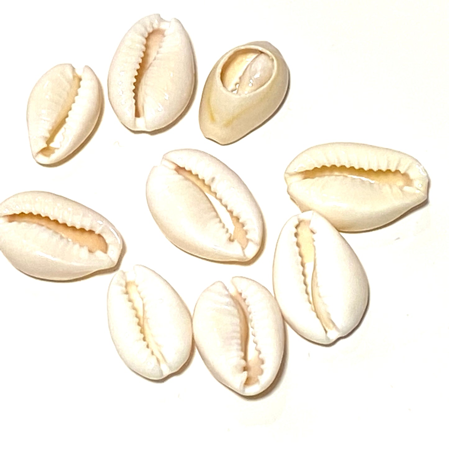 Shells