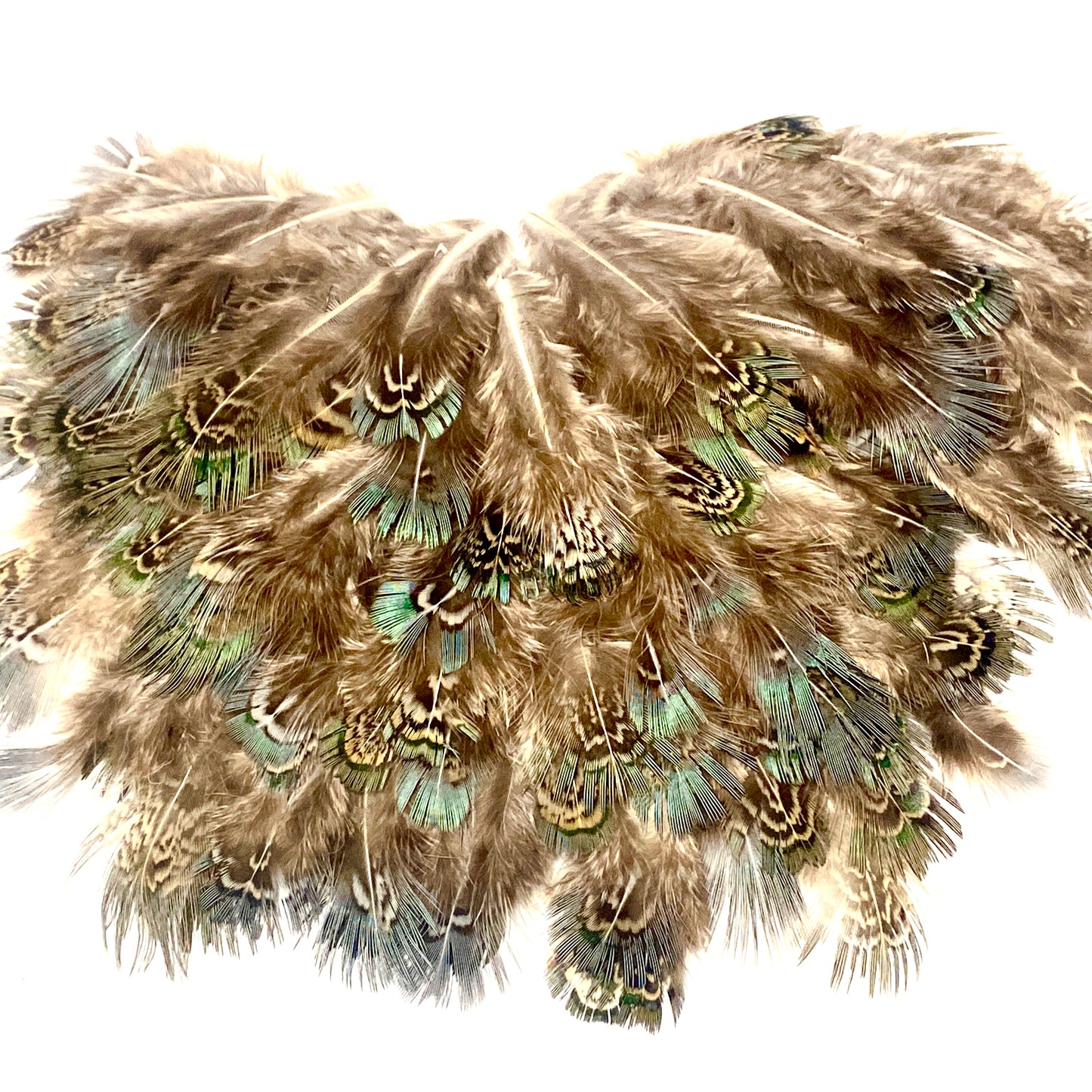 Feathers