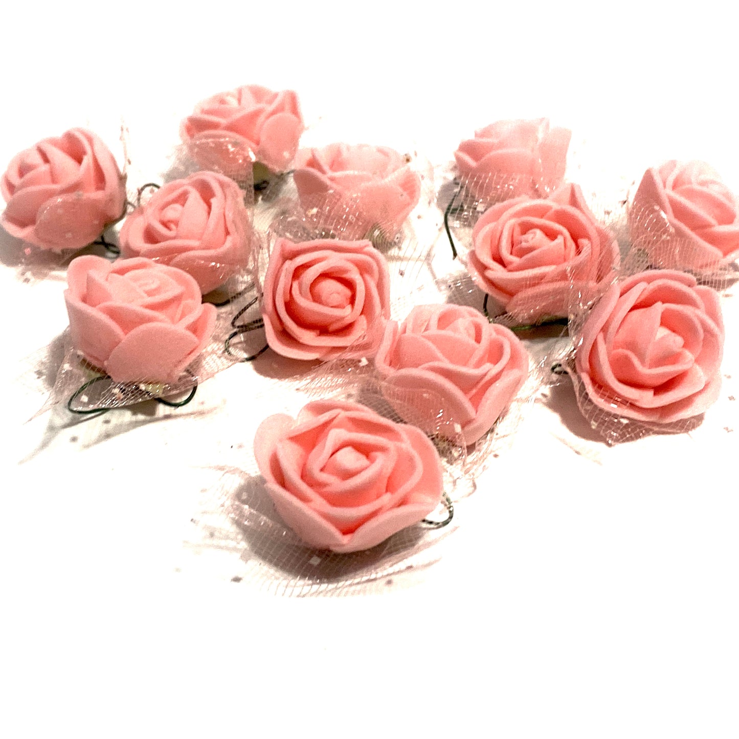 Coral pink roses