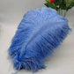 100 fine ostrich feathers in different colors
