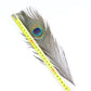 Påfågel fjädrar 24-30cm