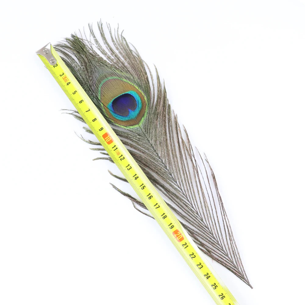 Påfågel fjädrar 24-30cm