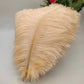 100 fine ostrich feathers in different colors