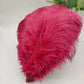 100 fine ostrich feathers in different colors