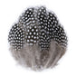 50-pack of small patterned feathers