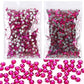 Strass stenar cerise
