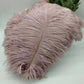 100 fine ostrich feathers in different colors