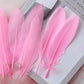 Goose feathers 10-15cm 28pcs different colors