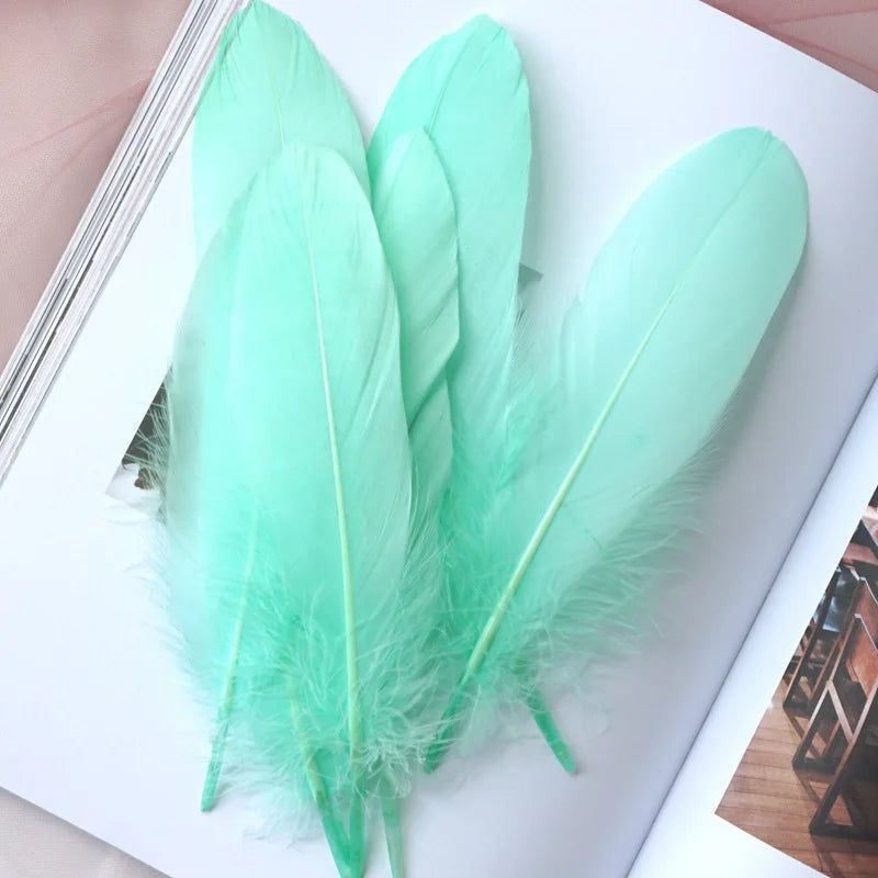 Goose feathers 10-15cm 28pcs different colors
