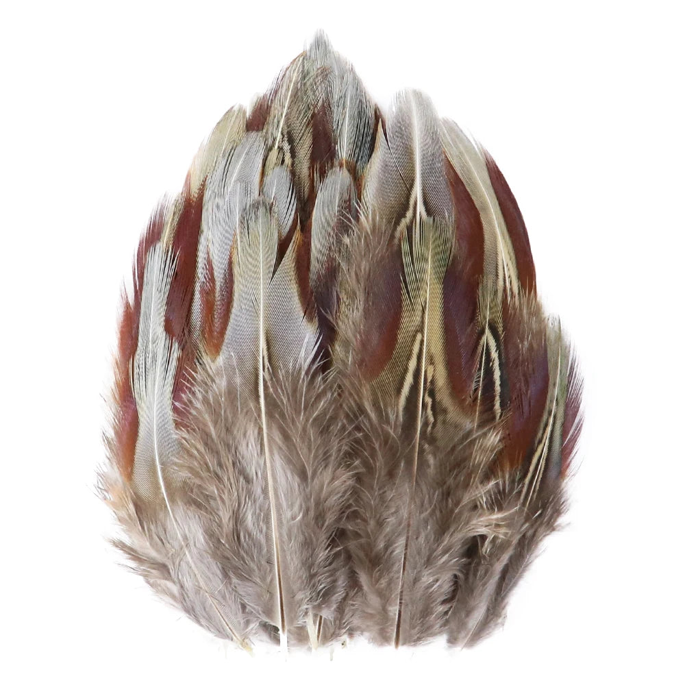 50-pack of small patterned feathers