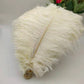 100 fine ostrich feathers in different colors