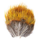 50-pack of small patterned feathers