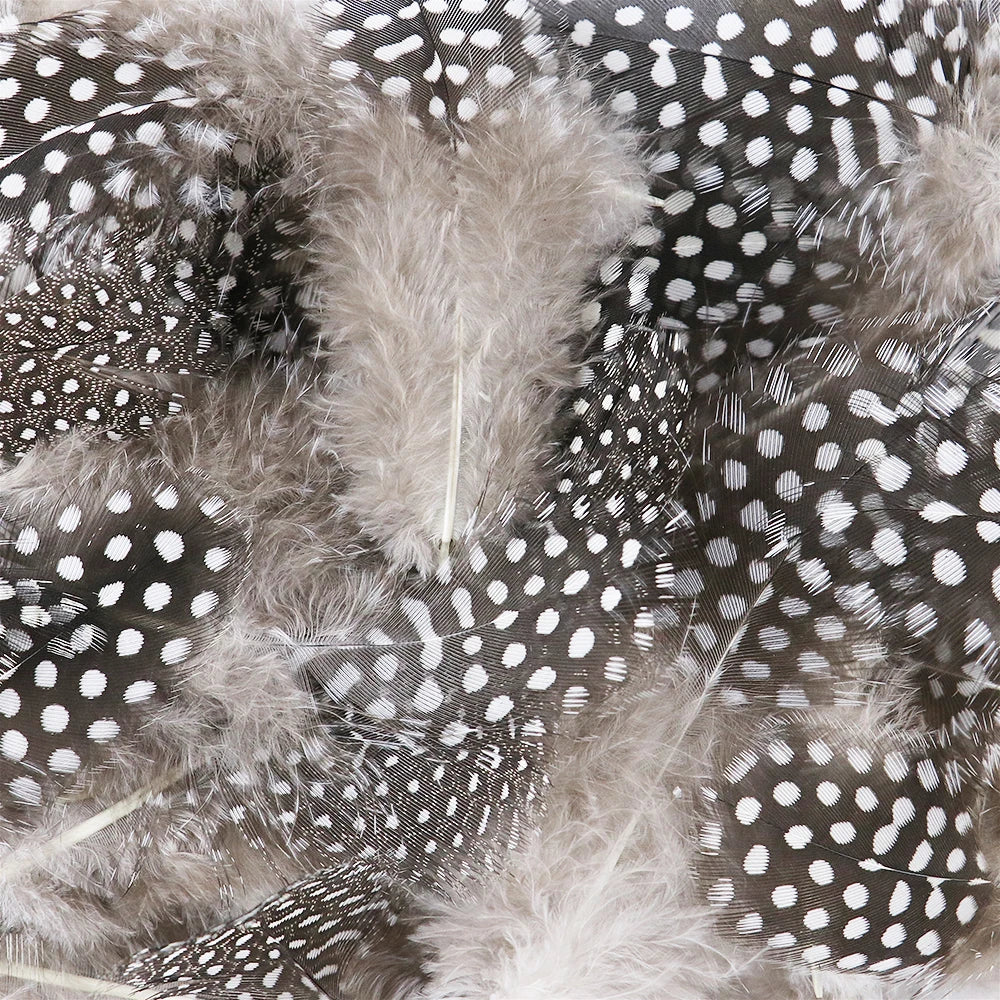 50-pack of small patterned feathers