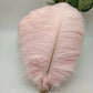 100 fine ostrich feathers in different colors