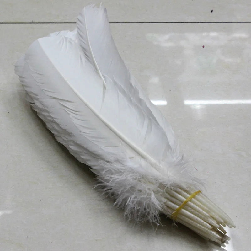 Turkey feathers white 25-30cm