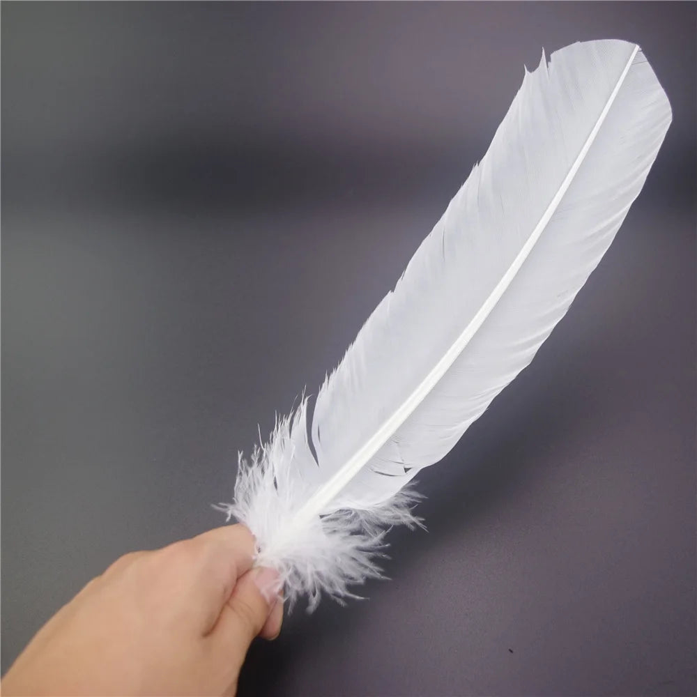 White goose feathers 25-30cm