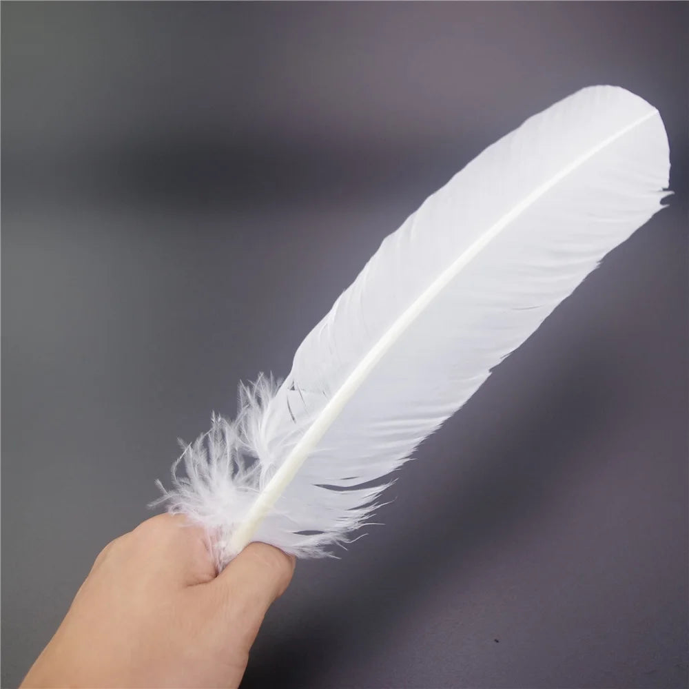 White goose feathers 25-30cm
