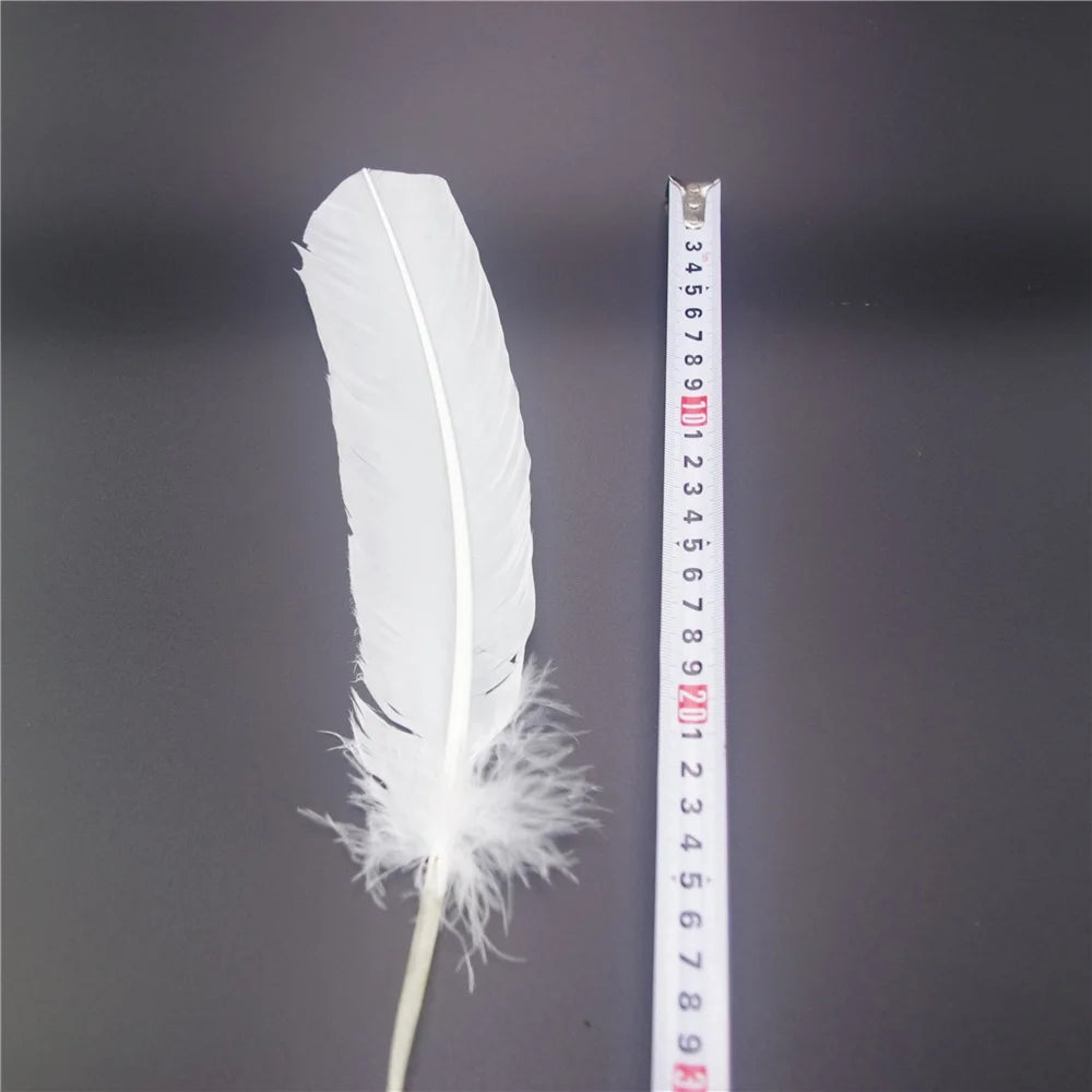 White goose feathers 25-30cm