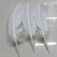 Turkey feathers white 25-30cm