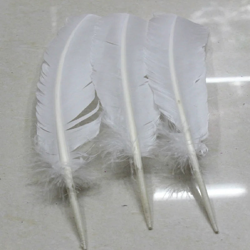 Turkey feathers white 25-30cm