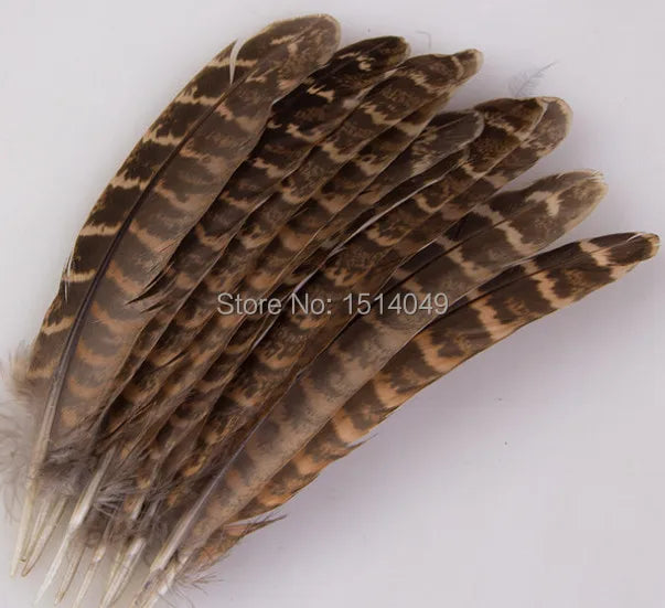Brown striped turkey feathers