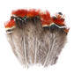 50-pack of small patterned feathers