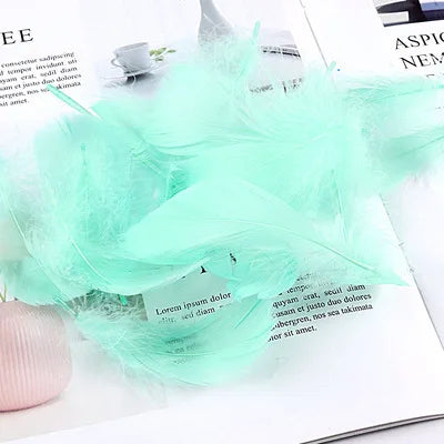 Colored goose feathers 8-12cm