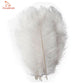 100 fine ostrich feathers in different colors