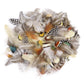 50-pack of small patterned feathers
