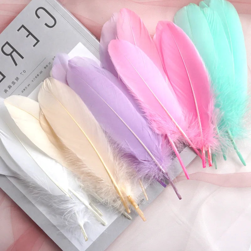 Goose feathers 10-15cm 28pcs different colors