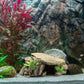 Reptil akvarium dekorativ inredning/ gömställe