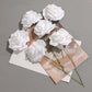 50-pack med Rosor 6.5cm