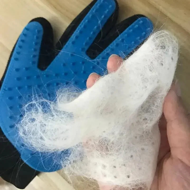 Glove brushing fur