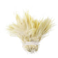 Large pack of chicken feathers