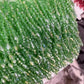 Tassels with beads 