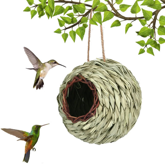 Fågel bo