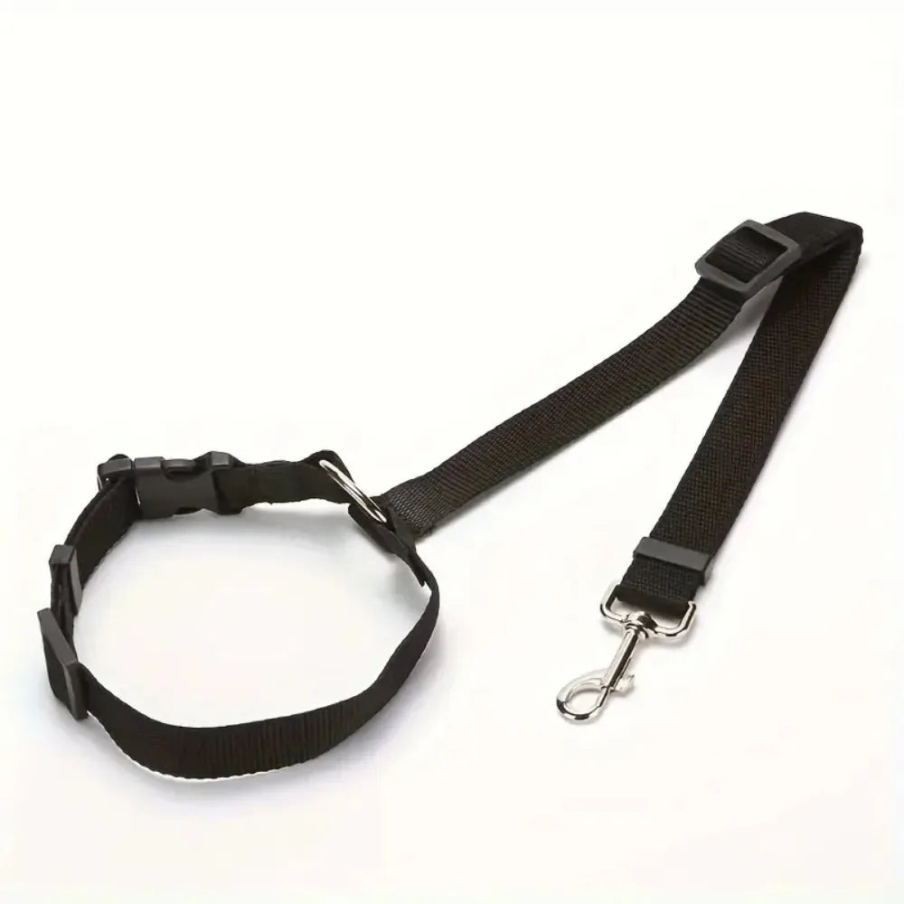 Bilbälte för hund