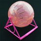 Spring boll Hamster