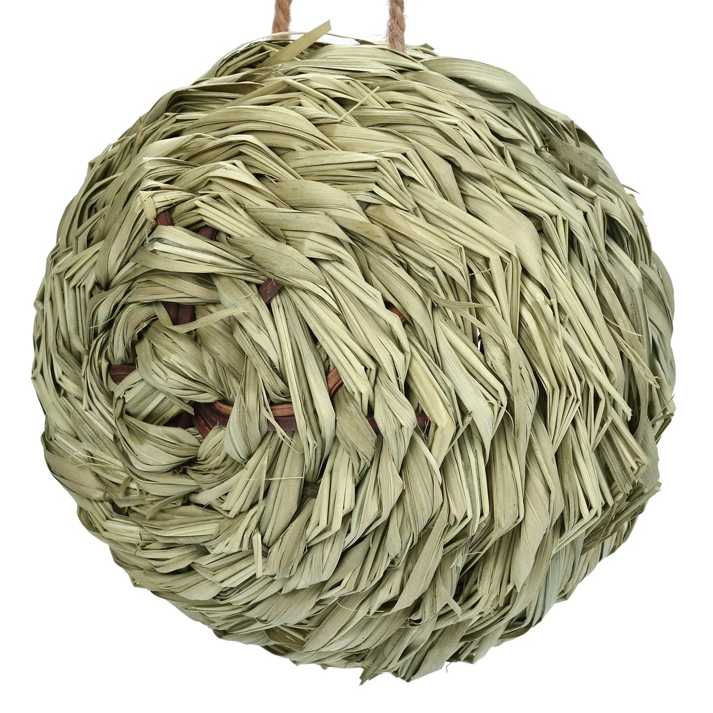 Fågel bo