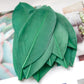 Small goose feathers 5-8cm