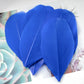 Small goose feathers 5-8cm