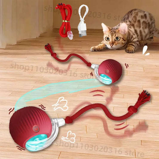 Elektrisk boll katt leksak
