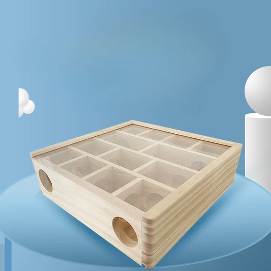 Lek labyrint hamster
