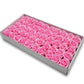 50-pack låda med rosor