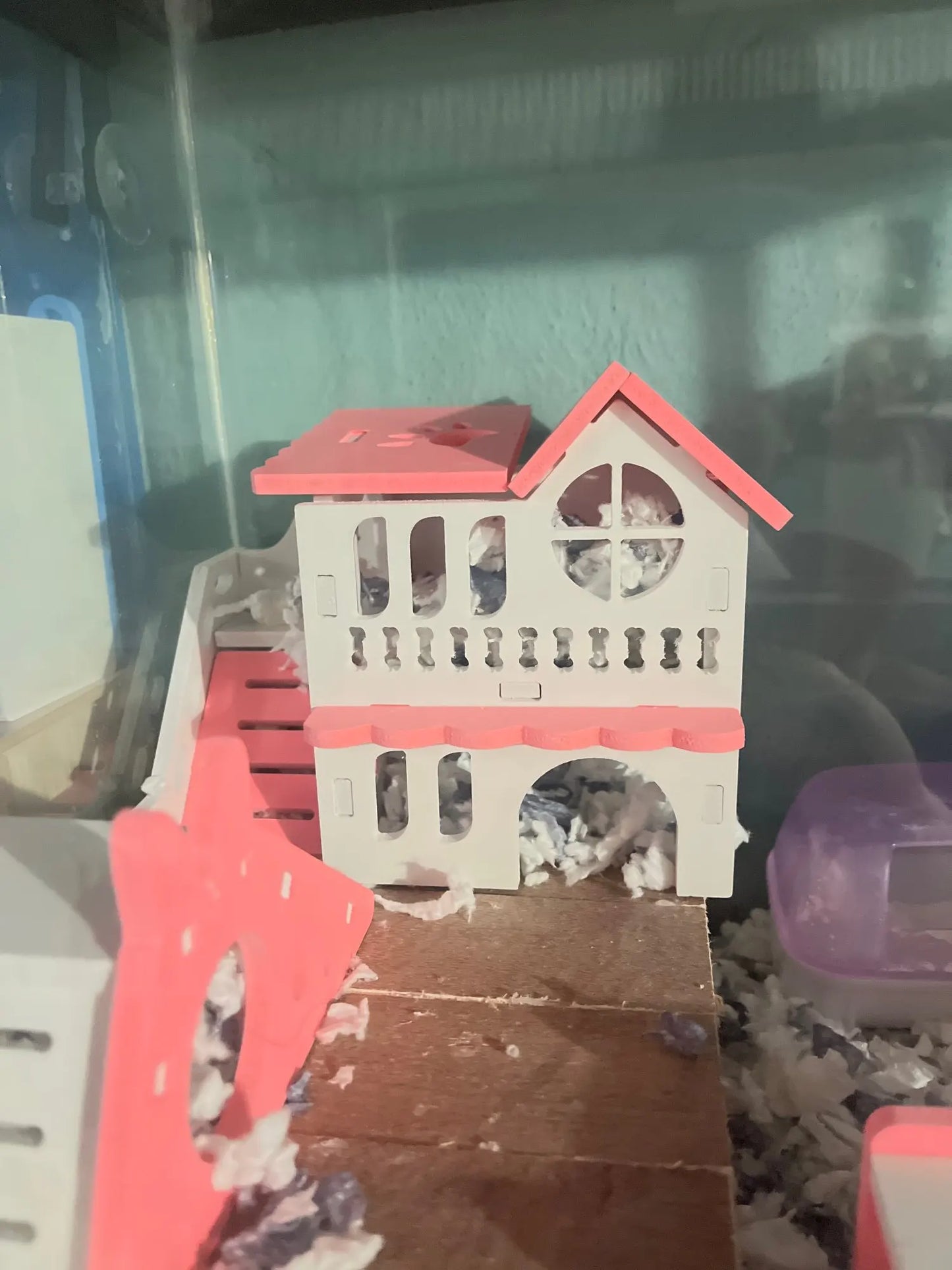 Hamsterhus och rutschkanor med koja