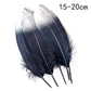 Goose feathers black with gold pattern