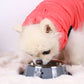 Stainless steel dog food bowls with paws
